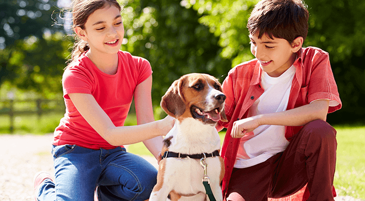 Microchipping two kids in red shirts petting their dog outside
